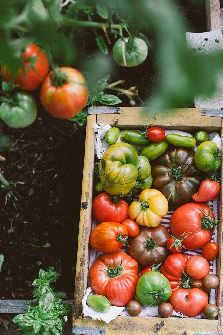 Green Cradle: Farm Fresh Veggie Ensemble