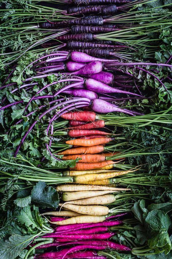 Harvest Patch: Earth's Delight Veggie Assortment