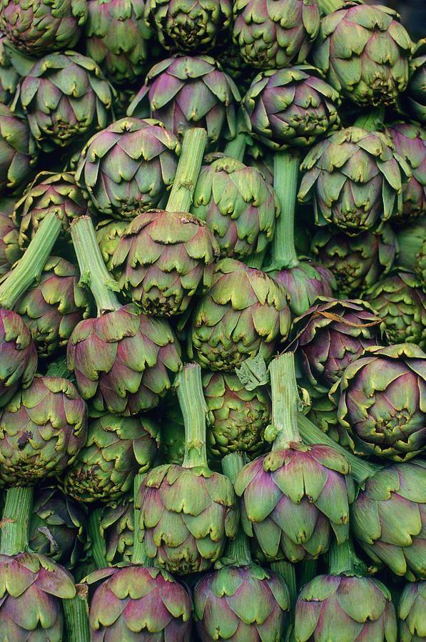 Terrafresh Select: Heritage Veggie Treasure Trove
